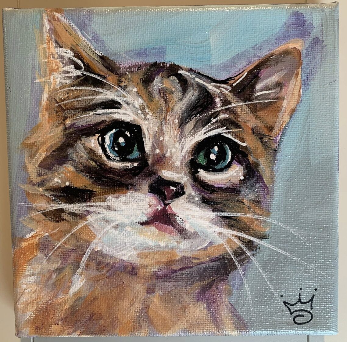 Chewy_Baby_Cat.jpg