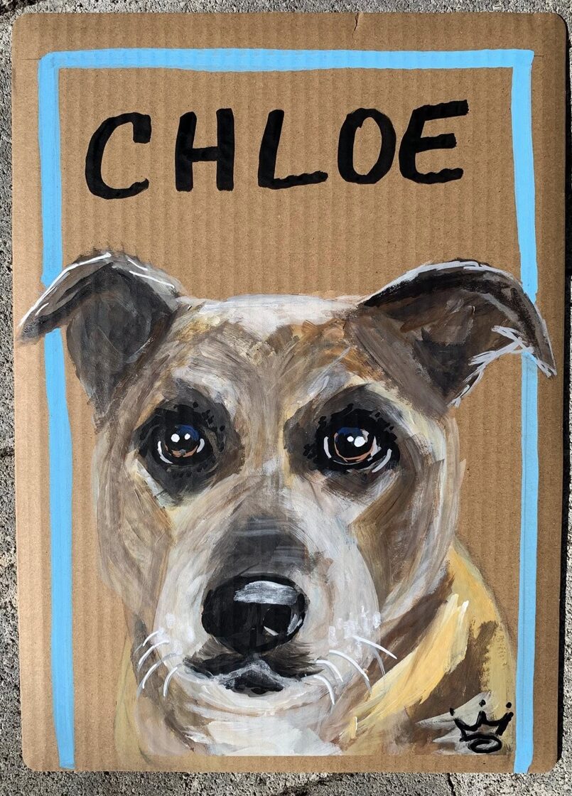 Chloe.jpg